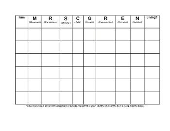 MRS C GREN worksheet by Georgia Kerton | Teachers Pay Teachers