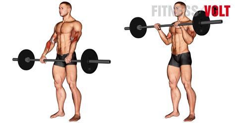 Barbell Reverse Curl : How-To, Tips. Variations and Video Guide