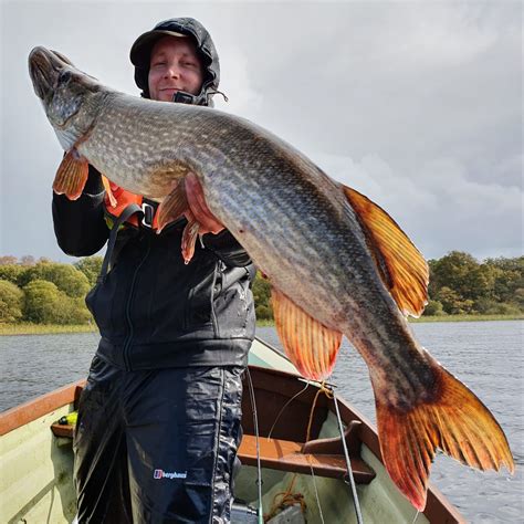 Distribution of Irish Pike | Fishing in Ireland - Catch the unexpected