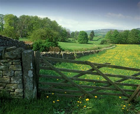 Quintessential British countryside in summer | British countryside ...