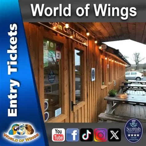 World of Wings Entry Tickets | World of Wings Birds of Prey centre ...