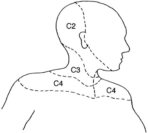 Dermatome Map Neck Head