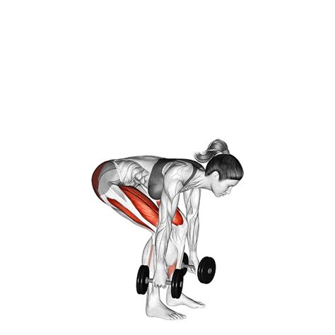 Dumbbell Deadlifts - How To Do Properly & Muscles Worked