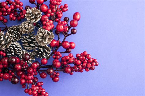 Free Image of Berry cone christmas wreath | Freebie.Photography