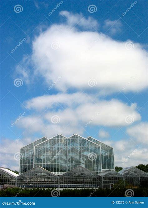 Invernadero Y El â 3 Del Cielo Foto de archivo - Imagen de verano, casa: 12276