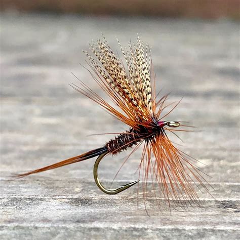 Beautiful Pheasant Tail Dry Fly