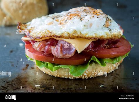 bacon and egg sandwich Stock Photo - Alamy