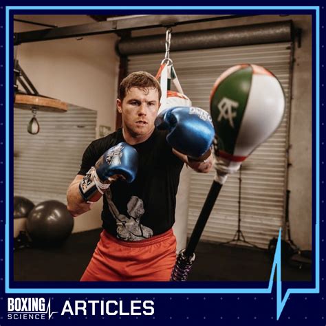 Science Behind Canelo - Boxing Science