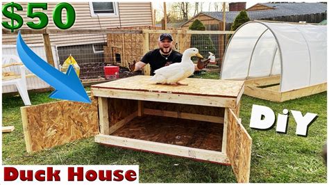 How To Build A Goose House - Ademploy19