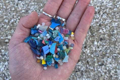 Learn More — Michigan Microplastics Coalition