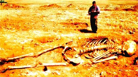 Discovery of Giant Skeletons: Pieces Of Evidence That Giants Existed On Earth - Infinity Explorers