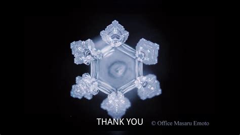 Dr. Emoto's Water Experiment - YouTube