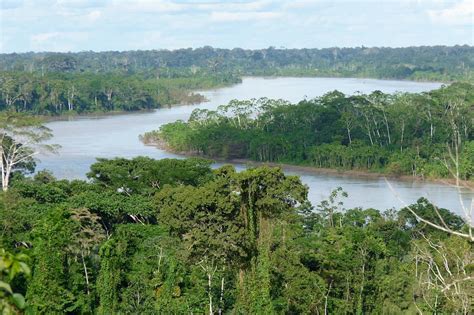 Amazonas-Regenwald: Schutz durch nachhaltige Nutzung | Weltladen-Dachverband