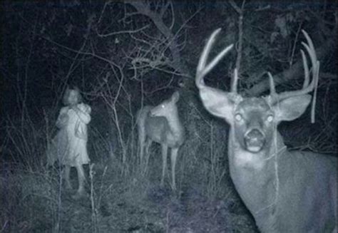 Deer season's coming, show your trail cam pics - AR15.COM