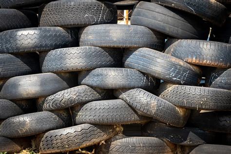 Rubber Tire Mulch: Is it Safe for Your Garden? * Big Blog of Gardening