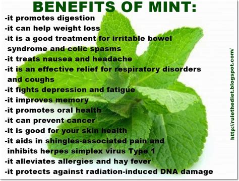 weight loss for a healthy lifestyle: HEALTH BENEFITS OF MINT
