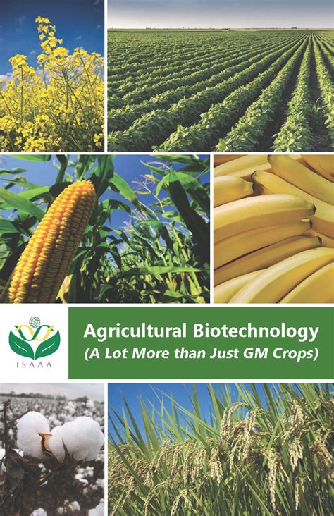 Agricultural Biotechnology (A Lot More than Just GM Crops) - ISAAA Publications | ISAAA.org