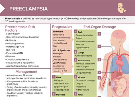 Eclampsia Vs Preeclampsia Deals Outlet | deborahsilvermusic.com