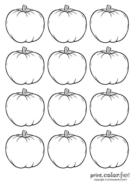 small pumpkins blank - Google Search | Pumpkin coloring pages ...