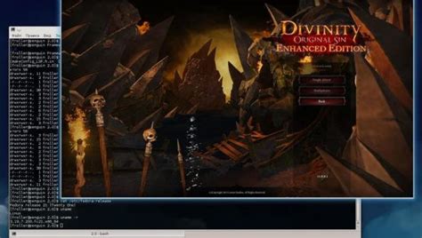 Larian boss Swen Vincke announces Divinity: Original Sin – Enhanced ...