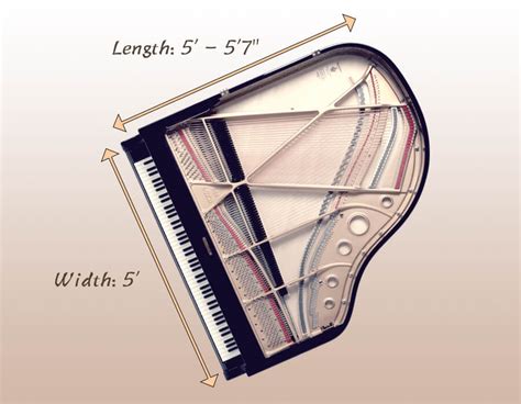 Baby Grand Piano Dimensions - Measuring a Piano