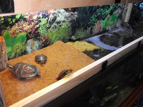 58 best images about Turtle. Tank ideas on Pinterest | Homemade turtles, Ponds and 55 gallon