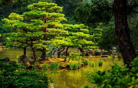 Free Download Japan Green Nature Wallpapers For Desktop Backgrounds ...