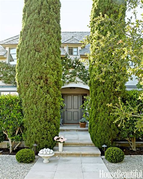 Planting a Live Fence: Why You Should Plant a Leyland Cypress Hedge | BetterDecoratingBible