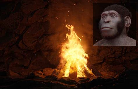 Shocking Evidence Homo Naledi Used Fire 230,000 Years Ago | Ancient Origins