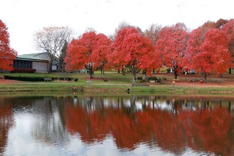 Tour White House Fruit Farm [Photo Gallery] - Growing Produce