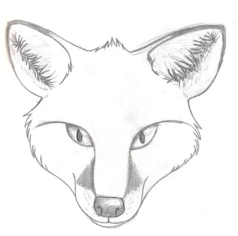 fox drawing easy face - Dara Stover