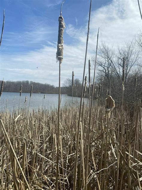 Marsh Creek Trail - Pennsylvania | AllTrails