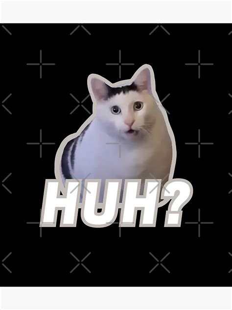 "Huh cat meme | Huh?" Poster for Sale by ins1ck | Redbubble