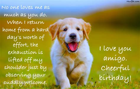 Best Birthday Wishes For you Dogs 50+ Wishes and Quotes