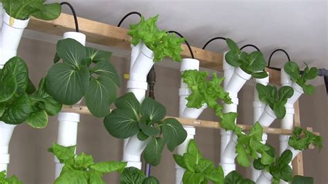 Basement Hydroponic Tower Garden Version 2.0 - YouTube