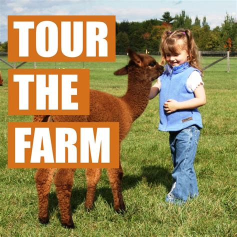 Book A Farm Tour - Manna Meadows Alpacas