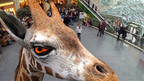 Virtual Zoo in a European mall - YouTube