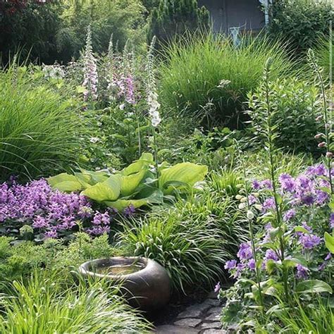 carex: garden design by carolyn mullet | Garden | Pinterest | Mullets ...