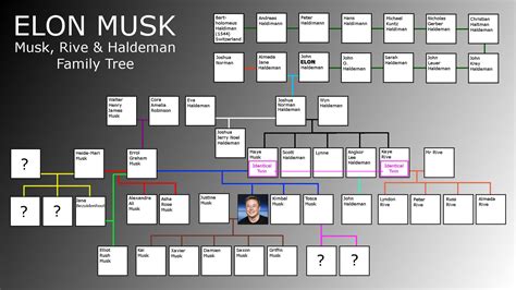 Elon Musk Family Tree : r/elonmusk