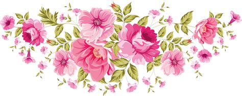 pink flowers with green leaves on white background