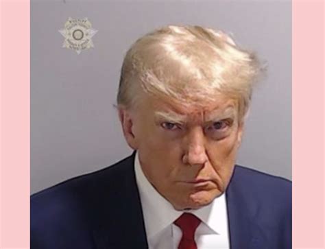 Donald Trump Mugshot & MORE Arrest Deets! - The Surprise Data - Newest ...