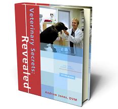 The Kennel Cough Vaccine - Kennel cough- what you need to know