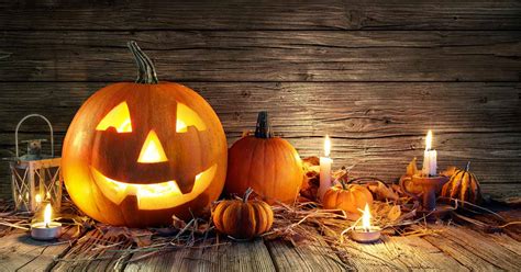 How to Choose the Best Halloween Pumpkins to Grow in Your Garden