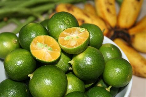 Calamansi Benefits Tagalog - Dini Fruit