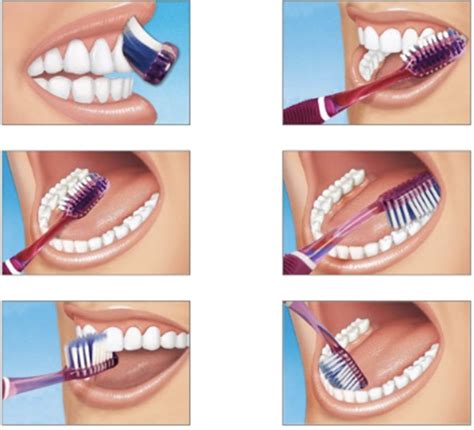 Tooth Brushing Techniques | News | Dentagama