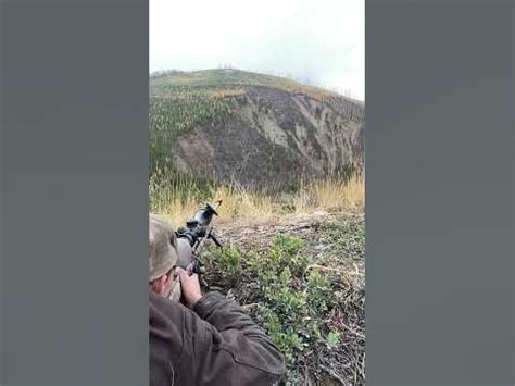 6.5 creedmoor Hammer bullet trace - YouTube