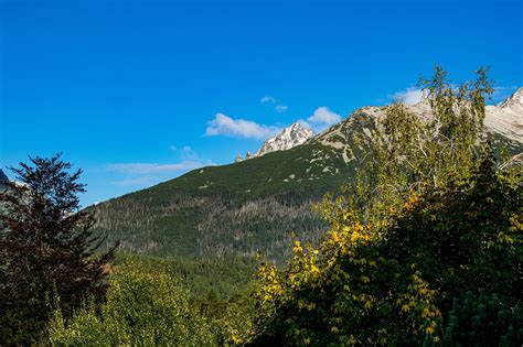 Slovakia Mountains Forests - Free photo on Pixabay - Pixabay