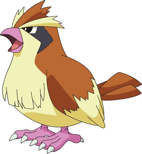 Pidgey - Pokémon Wiki - Wikia