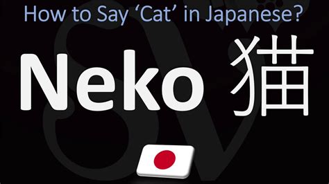 How to Pronounce Neko? | How to Say 'CAT' in Japanese? - YouTube