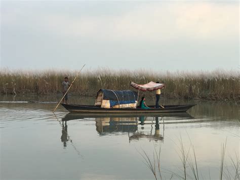 Reed Boat Photos, Download The BEST Free Reed Boat Stock Photos & HD Images